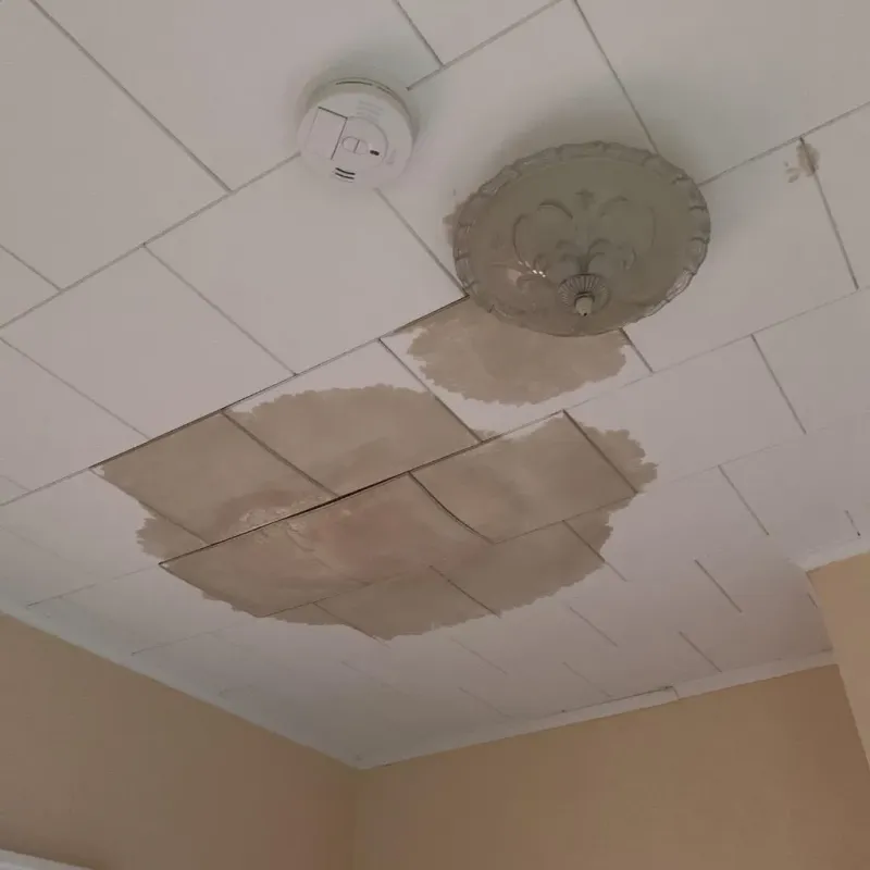 Ceiling Water Damage Repair in Osborne, KS
