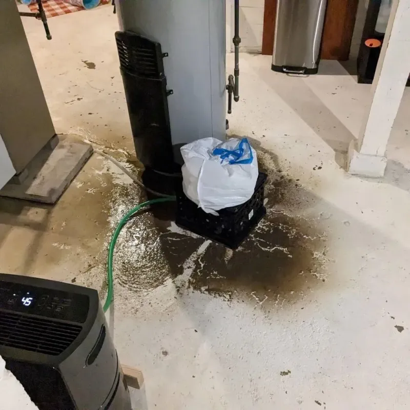 Sewage Backup Cleanup Service in Osborne, KS